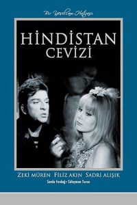 Hindistan Cevizi