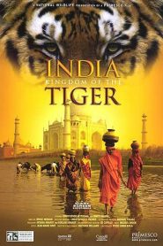 India: Kingdom of the Tiger