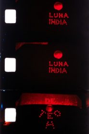Luna India