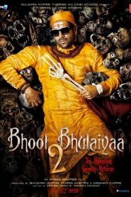 Bhool Bhulaiyaa 2